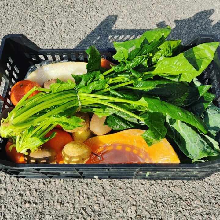 423004526_767645362059543_2845972768415129222_n.jp