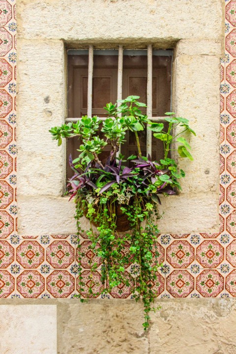 rua da silva 14 a.jpg rua da silva 14 a.jpg