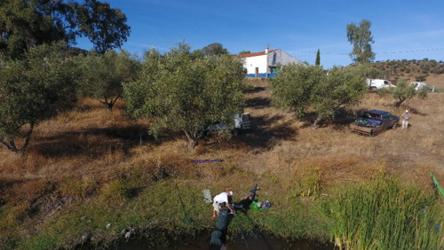 DJI_0026.JPG