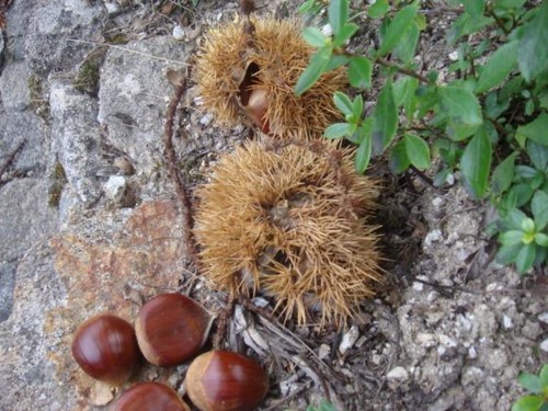 246487D9-8D97-4ABB-AA89-08C937EB9656-3013-00000385