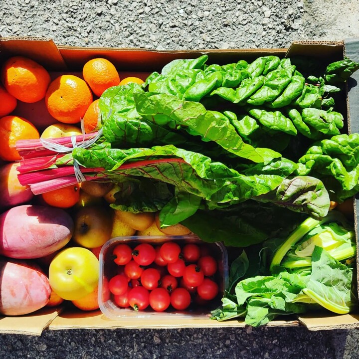 314896517_2463273853812361_3846819939154148779_n.j