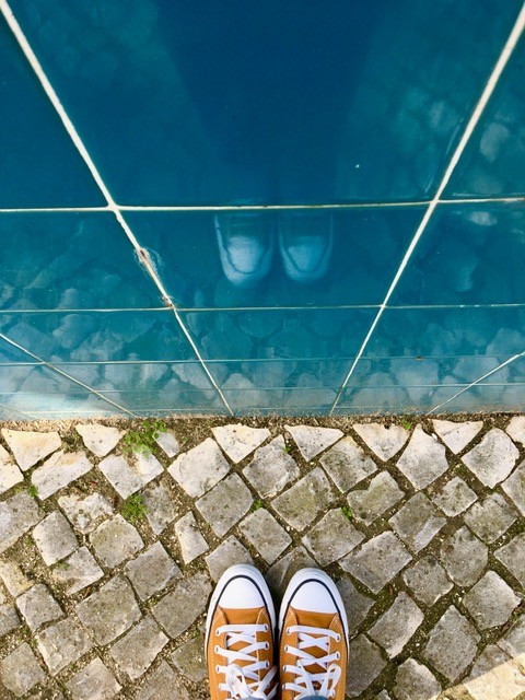 IMG_7531.jpg IMG_7531.jpg