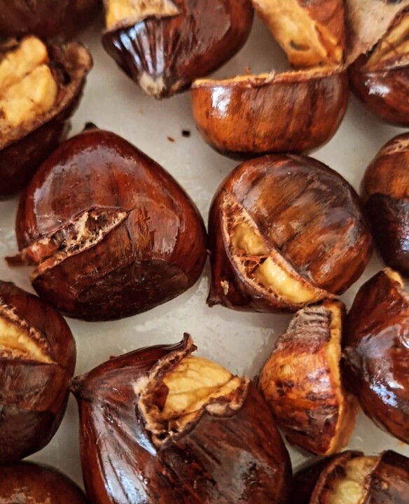 465843999_955686083255469_2868388167134666422_n.jp