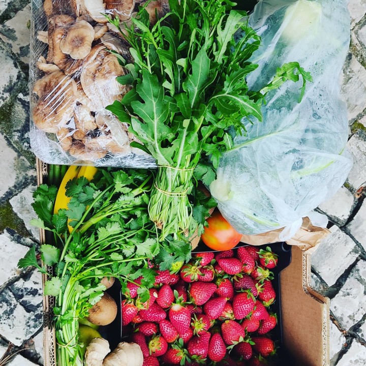 167929044_1988842764588808_7171138711061574118_n.j