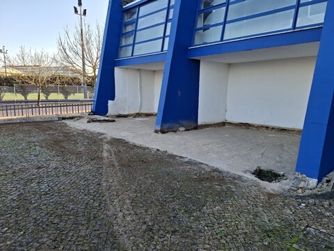 31a_Caminhada_matinal (12).jpg