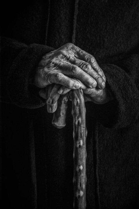 420132839_927035482125639_7566717039631335736_n.jp