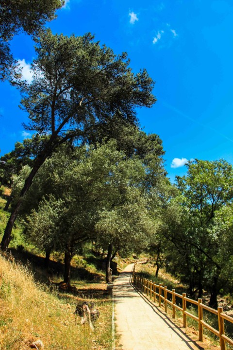 trilho das vinhas-13.jpg