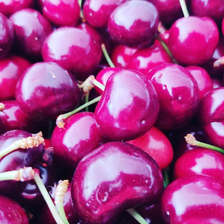 348254487_714923860432800_3327038154260311796_n.jp