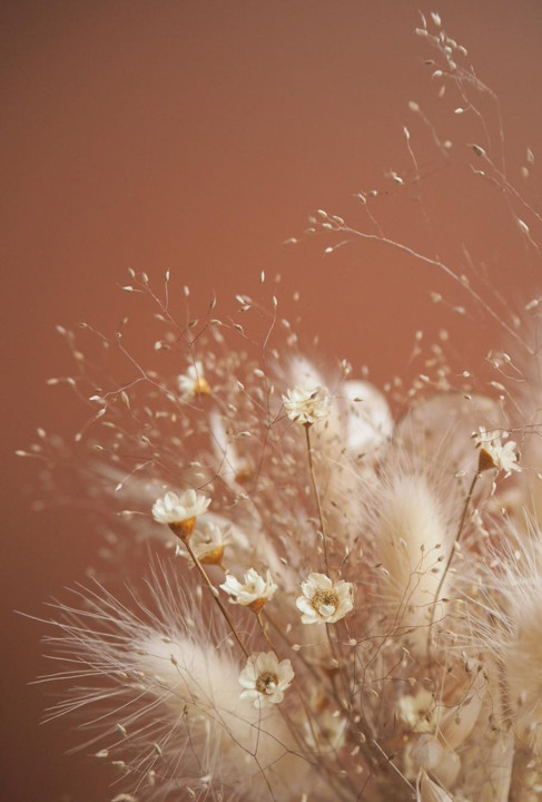 Não tenho tempo para mais nada, ser feliz me cons
