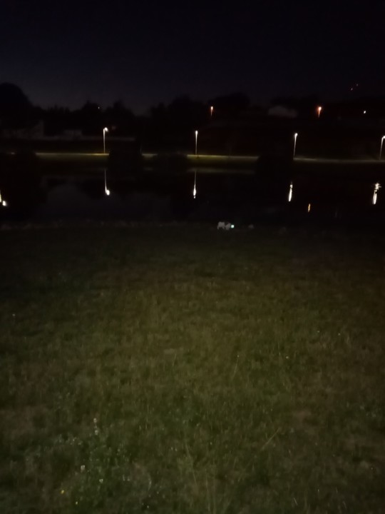 IMG_20201011_194334 (2).jpg