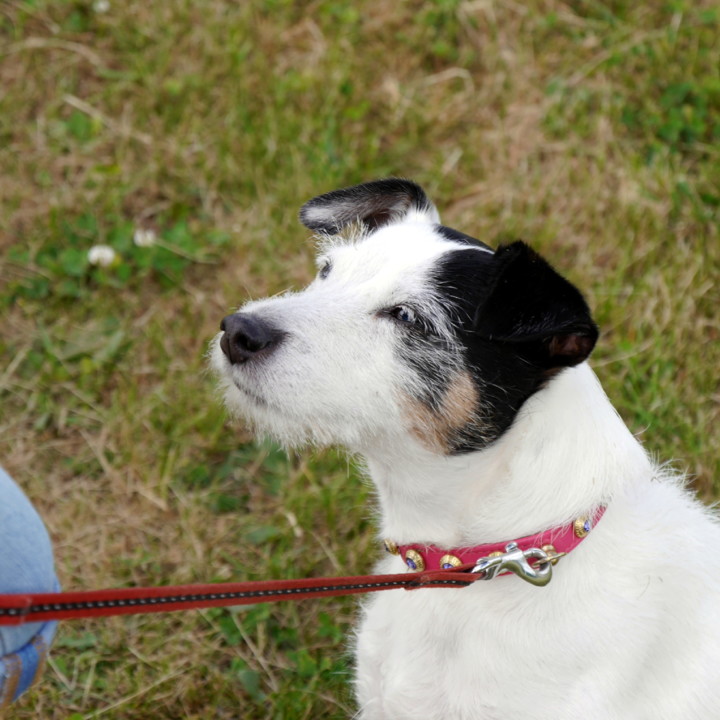 2014-06-10 Azibo 87.JPG