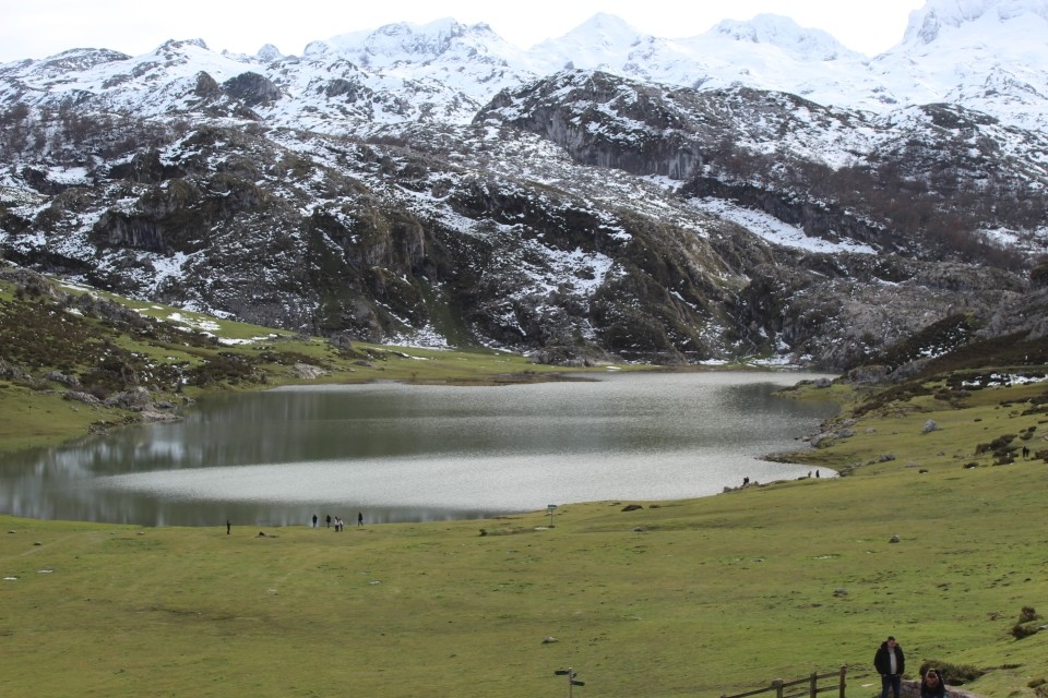 20191125134939_IMG_1343_resized_20200106_091853112