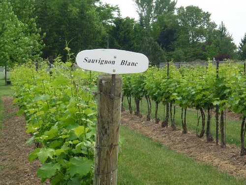 niagara weekend away 009.JPG