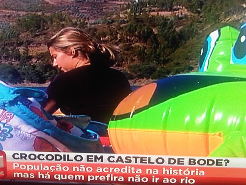 crocodilo em castelo de bode.jpg