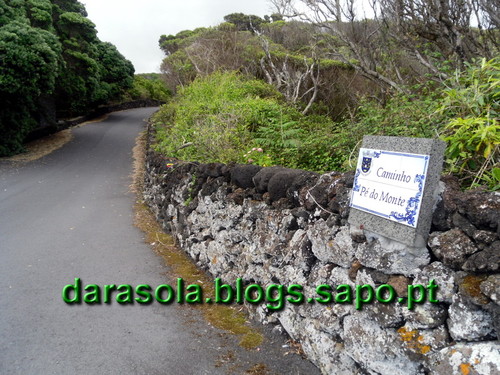 azores_pico_criacao_velha_33.JPG