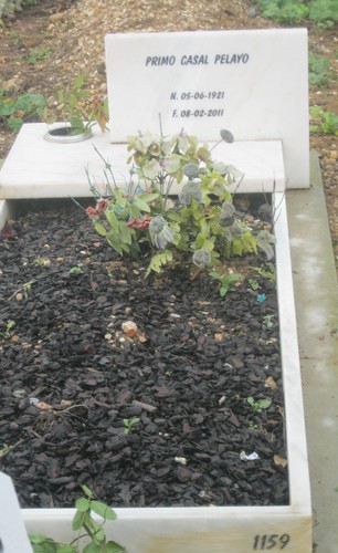 cemit 004.JPG cemit 004.JPG