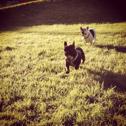 10926409_10205325842123281_7765318726287214922_n.j 10926409_10205325842123281_7765318726287214922_n.j