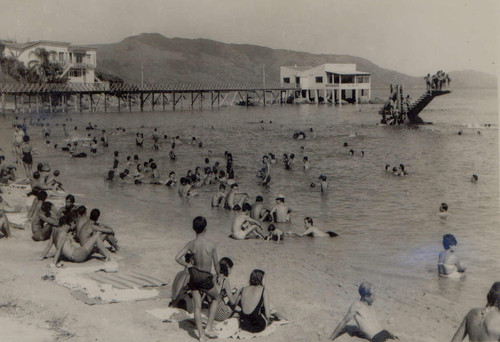 trampolim-coqueiros-florianopolis.jpg trampolim-coqueiros-florianopolis.jpg