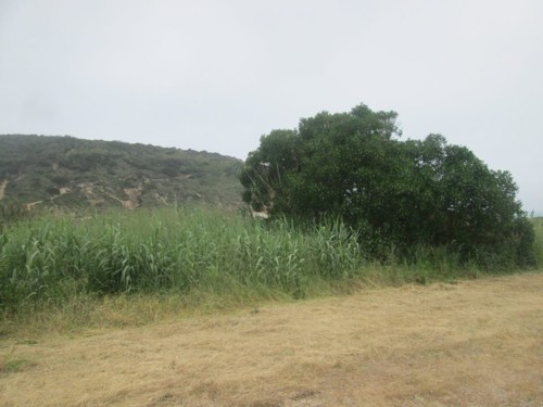 32973587_1652212128227419_1936615159086710784_n.jp