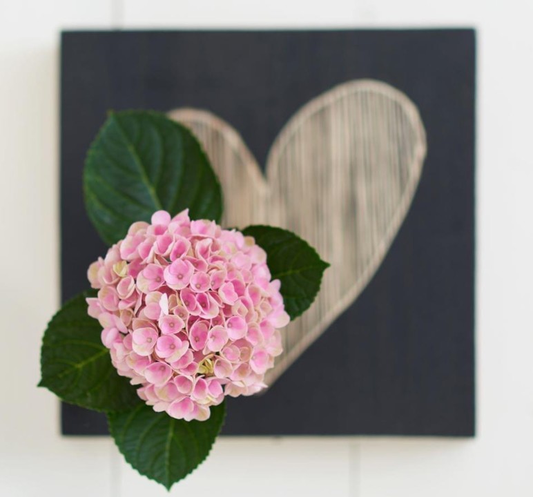 2020-04-17 18.32.47.jpg