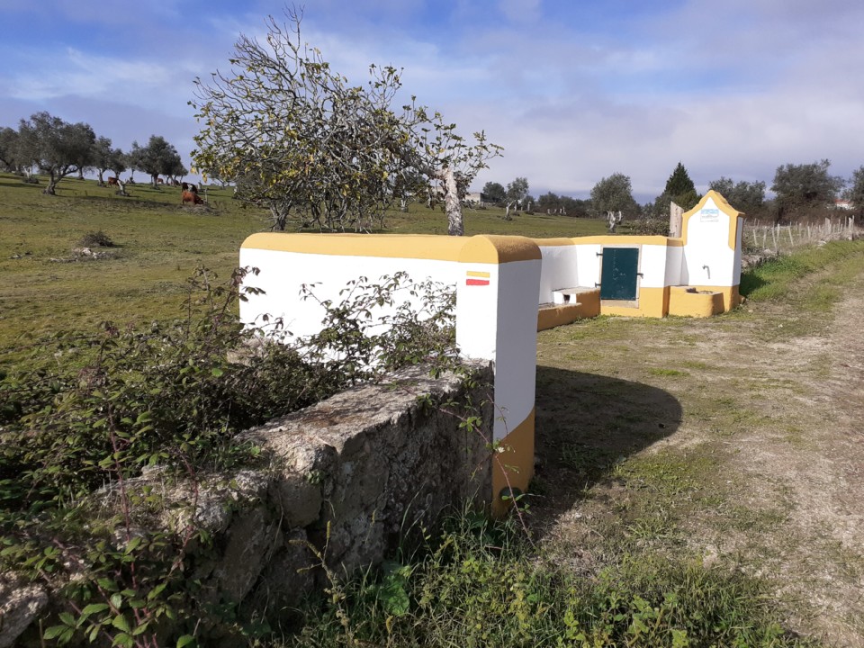 Fonte vista de Sul e bois pastando. Foto Original. 2021.12.01.jpg