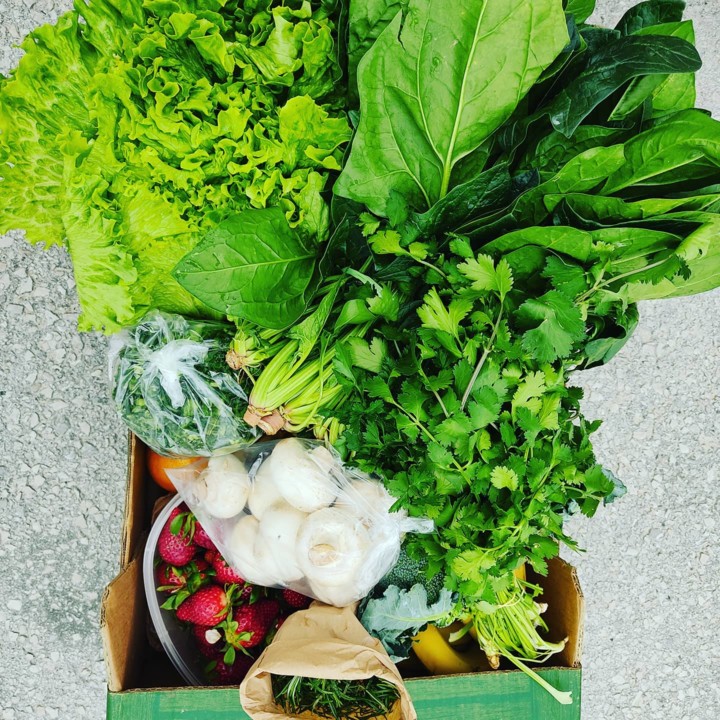 170202618_1991703094302775_6602578972908604005_n.j