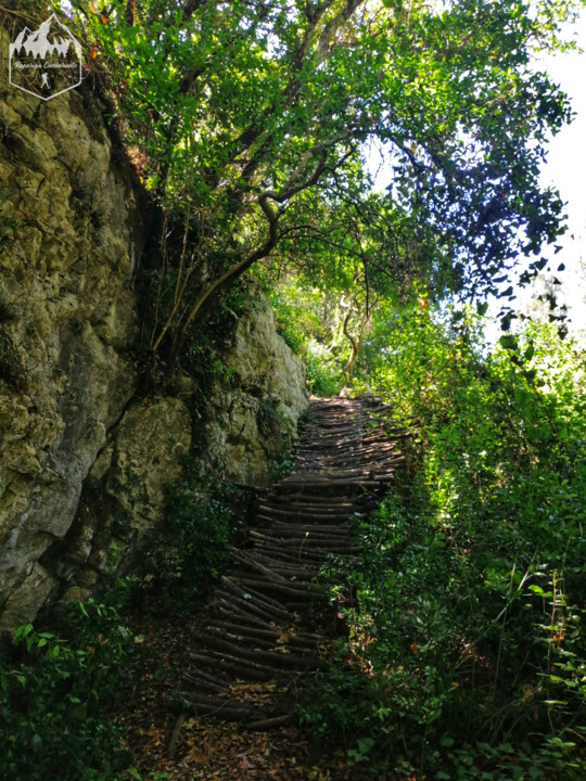 Photo_1596312188318 (1).jpg Photo_1596312188318 (1).jpg