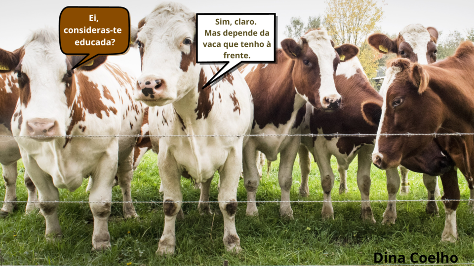 A vaca adulta diz para a gatinha ainda criança (1