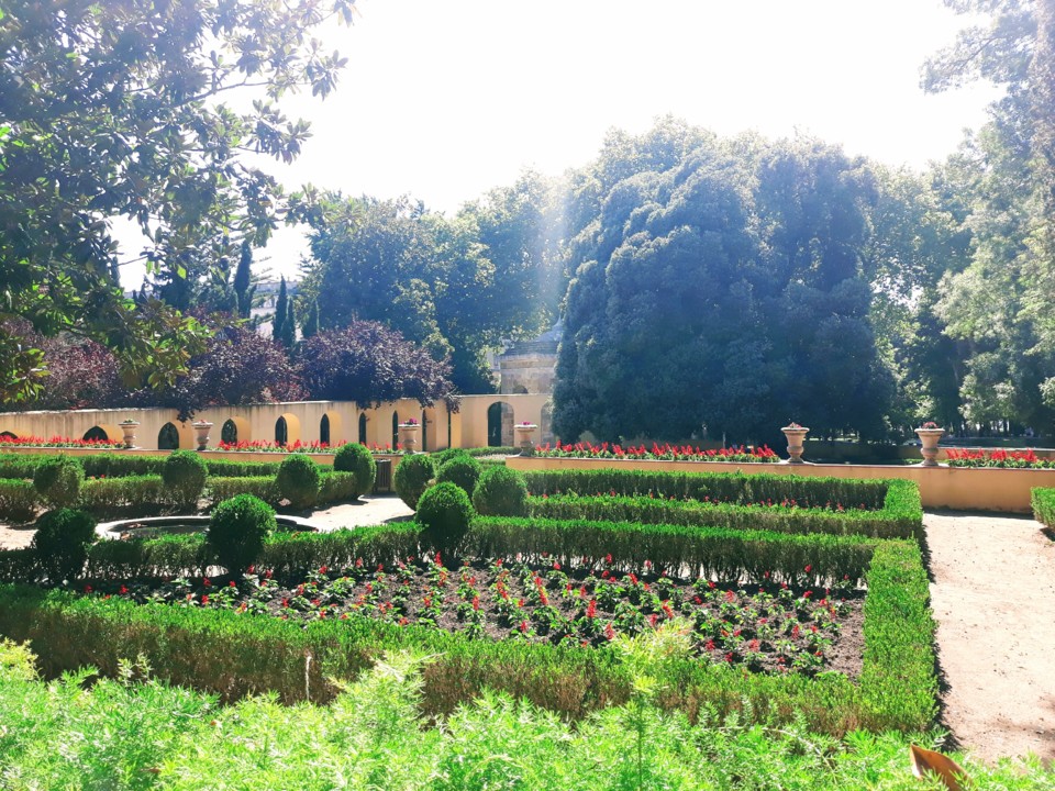 20200712_162746.jpg 20200712_162746.jpg