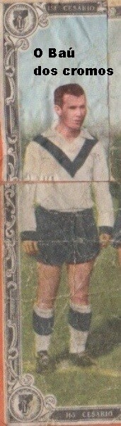 cesário-V. Guimarães.jpeg