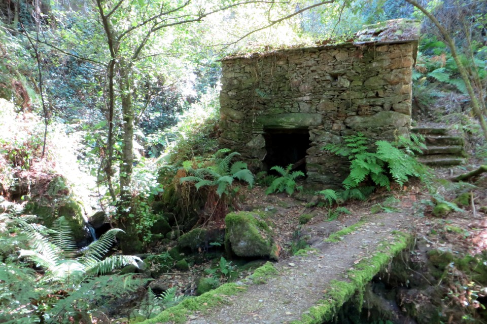 IMG_3142.JPG IMG_3142.JPG