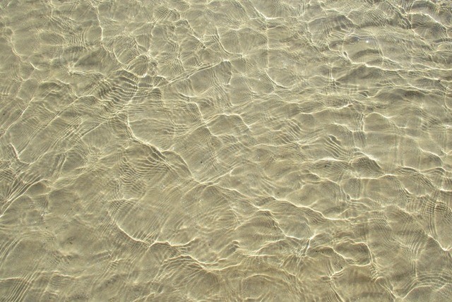 240921720_228192695910069_4668380354315969550_n.jp