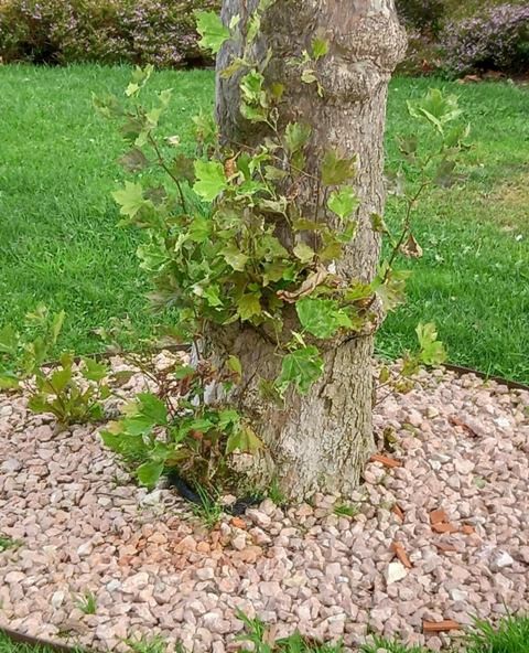 240544169_4230741787041094_5119917123651287815_n.j