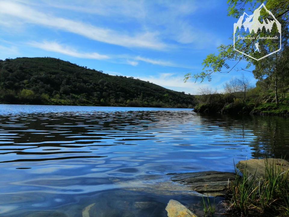 Photo_1584188290587.jpg Photo_1584188290587.jpg