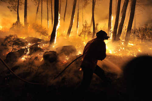 Foto de Fogo em Moimenta da Beira.