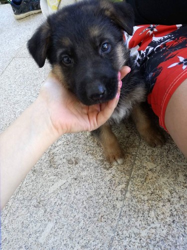 received_1857835150909542.jpeg received_1857835150909542.jpeg