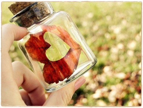 317312_253750291328844_132290533474821_675545_1092