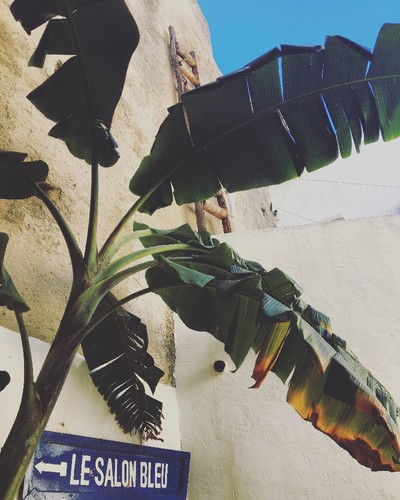 IMG_6341.JPG IMG_6341.JPG