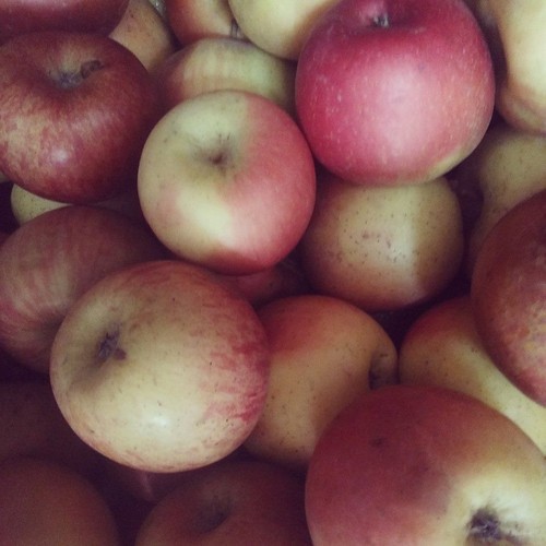 13254568_709094902563607_3742274738610316694_n.jpg 13254568_709094902563607_3742274738610316694_n.jpg