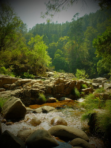 DSCF5264.JPG DSCF5264.JPG