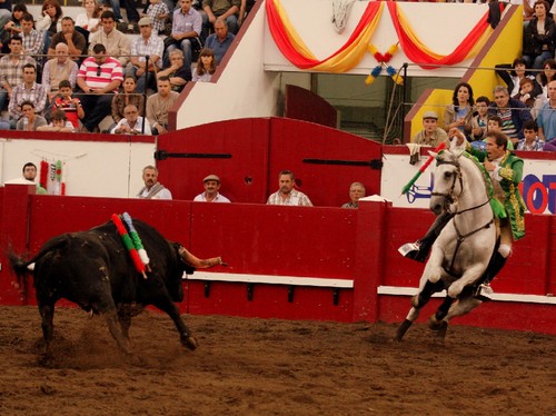 João Telles Jr., desta feita com mais toiro...