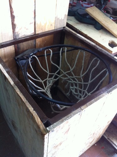 fotografia 3 (1).JPG