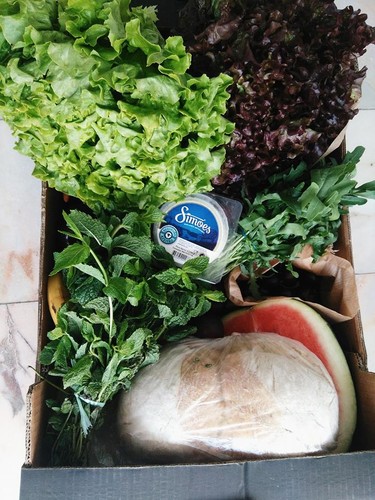 13600329_727691660703931_4503760720582412886_n.jpg 13600329_727691660703931_4503760720582412886_n.jpg