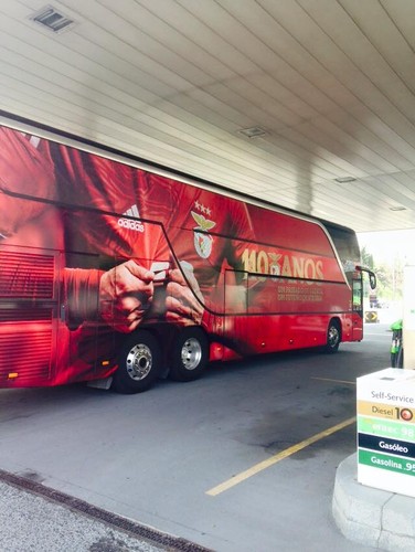 11102900_10153128430375546_5887284542007996112_n.j