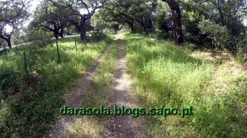 Aqueduto_Prata_Evora_02.jpg Aqueduto_Prata_Evora_02.jpg