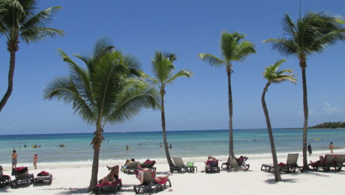 IMG_2498.JPG IMG_2498.JPG