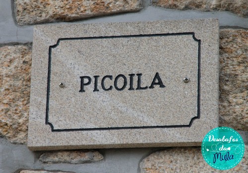picoila placa.jpg