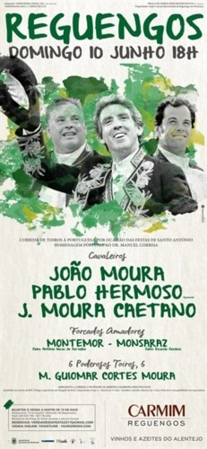 tourosreguengos.jpg