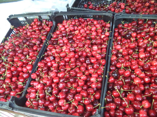 Reviver Braga 2015 019.JPG Reviver Braga 2015 019.JPG