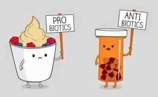 Pro &amp; Anti Biotics.png